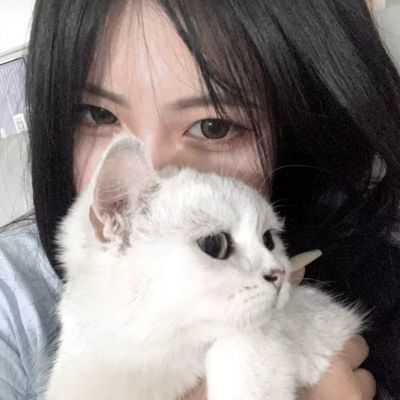 新封神纪手游下载