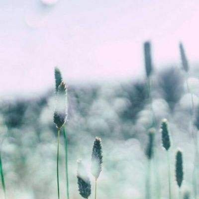 节奏起来vip破解版下载